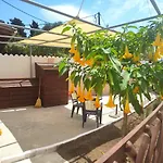 Natasa Studio
